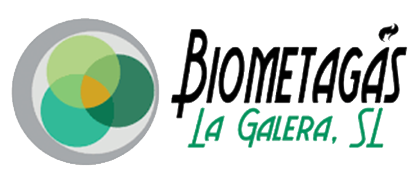 logo-biometagas