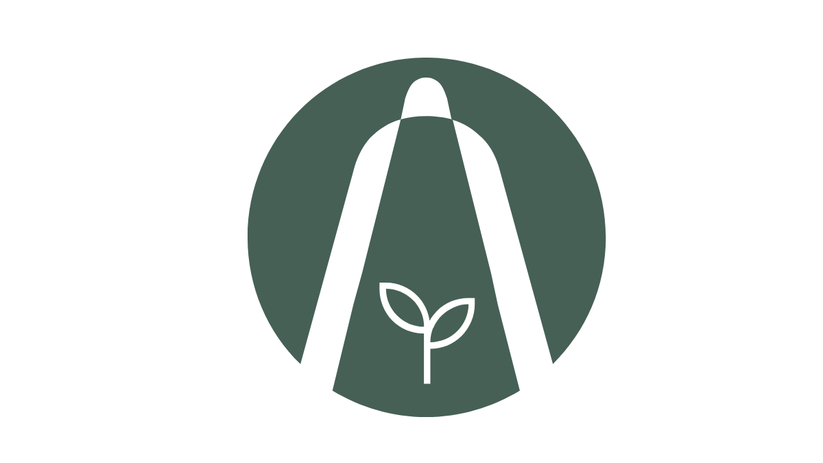 Imagen destacada – Entrada de WordPress (12)